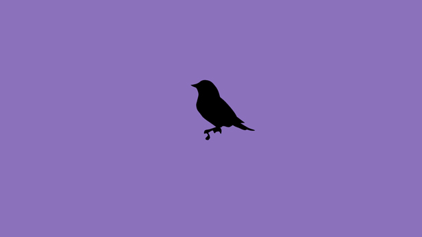Early Birds, Suky Best