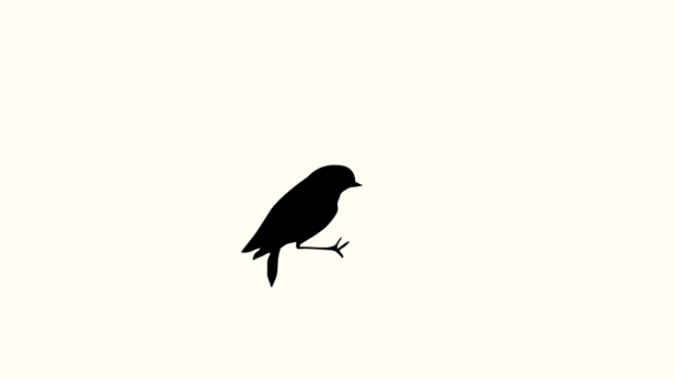 Early Birds, Suky Best