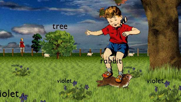 Rabbit, Run Wrake