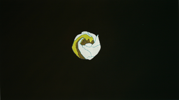 Tear Drops Blossom, Michael Aubtin Madadi